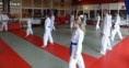 /album/fotogalerij-fotos-20161/kobujutsu-seminar-zaandam-2016-bo-tonfa-nunchaku-kobudo-holland-frank-van-den-nieuwendijk9-jpg1/